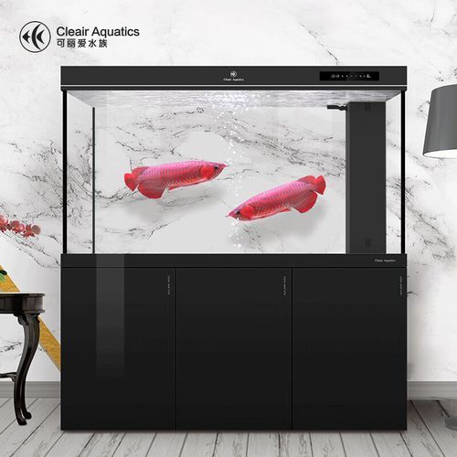 可麗愛CAG系列有哪些型號?,可麗愛cag系列的主要型號 龍魚百科 第3張 可麗愛CAG系列有哪些型號?,可麗愛cag系列的主要型號 可麗愛CAG系列有哪些型號?,可麗愛cag系列的主要型號 龍魚百科 第3張