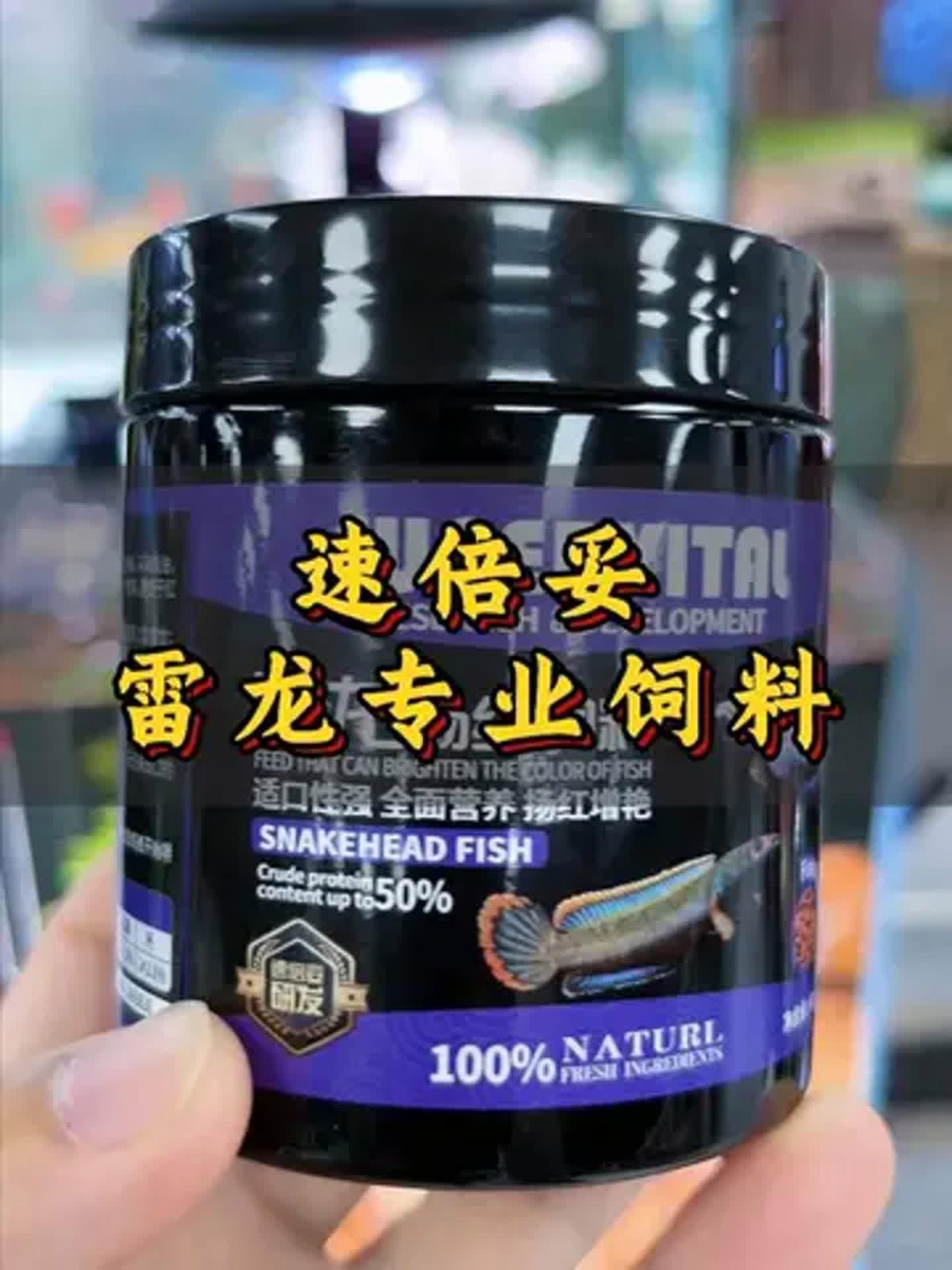 有哪些雷龍魚飼料推薦，如何選擇雷龍魚飼料