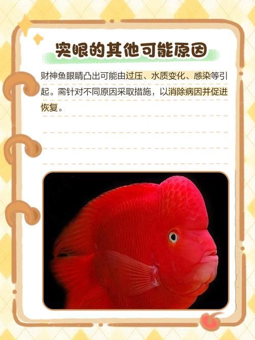 如何預防魚突眼的發生，exophthalmia養殖魚突眼的預防指南