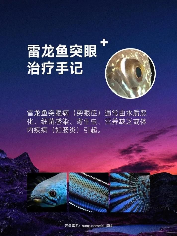 如何預防魚突眼的發生，exophthalmia養殖魚突眼的預防指南