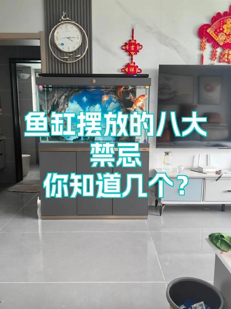 魚擺件擺放有哪些禁忌，魚擺件擺件擺放的八大核心禁忌，魚缸擺放的八大禁忌