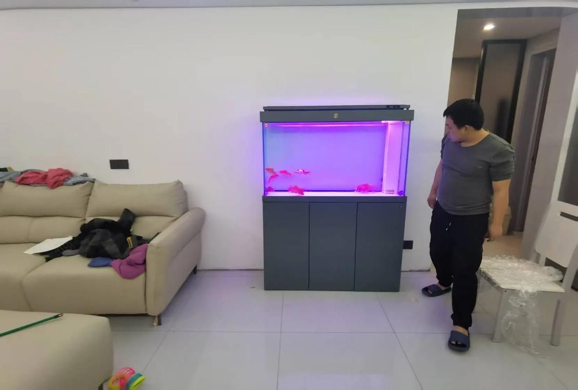 魚缸擺放有哪些具體案例，家居裝修過程中魚缸擺放的注意事項