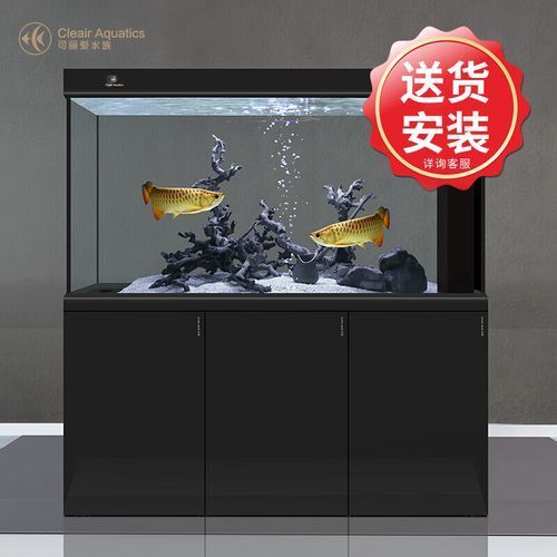 可麗愛有哪些熱門型號？，可麗愛的熱門型號