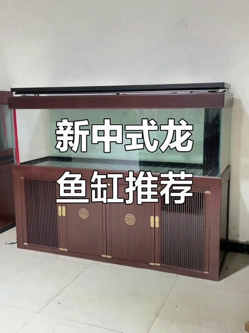 有沒有適合龍魚的魚缸圖片推薦？