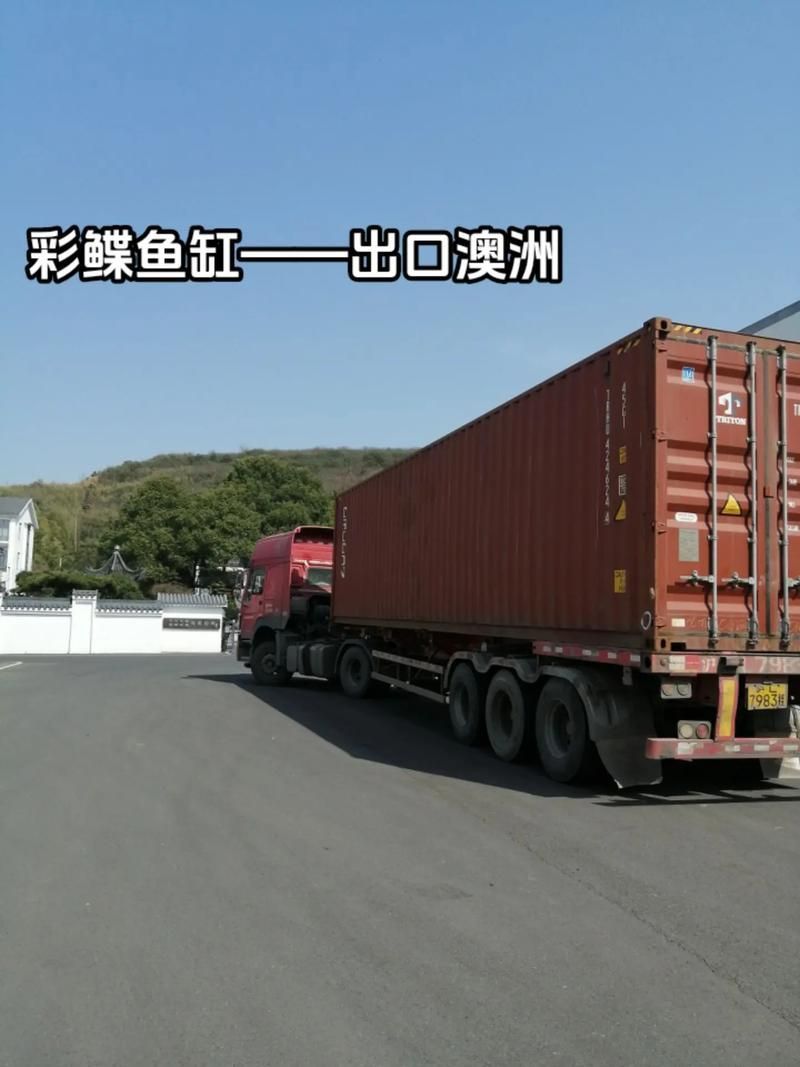 彩鰈品牌龍魚缸有哪些系列？，彩鰈品牌龍魚缸系列 彩鰈品牌龍魚缸有哪些系列？，彩鰈品牌龍魚缸系列 龍魚百科 第5張