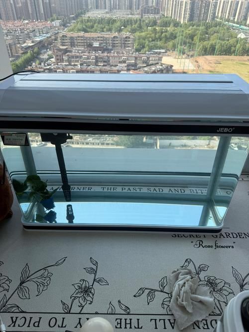 祥龍魚(yú)場(chǎng)提供哪些型號(hào)的魚(yú)缸？，祥龍魚(yú)場(chǎng)哪個(gè)品牌價(jià)格最合理 祥龍魚(yú)場(chǎng)提供哪些型號(hào)的魚(yú)缸？，祥龍魚(yú)場(chǎng)哪個(gè)品牌價(jià)格最合理 龍魚(yú)百科 第13張