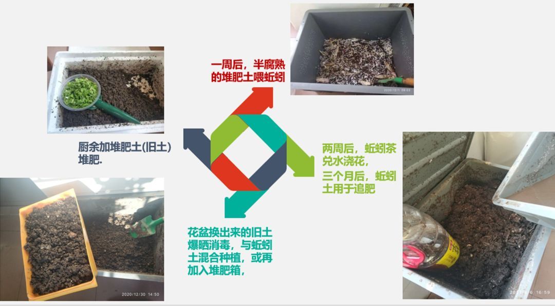 如何減少家庭垃圾的產生量，家庭垃圾減量策略 如何減少家庭垃圾的產生量，家庭垃圾減量策略 龍魚百科 第6張
