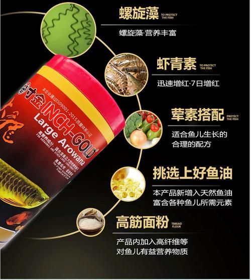 給我推薦幾款適合龍魚的魚食品牌，幾款適合龍魚的魚食品牌推薦