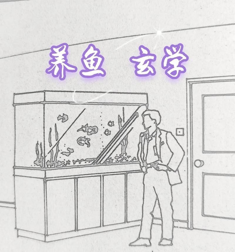 龍魚缸如何擺放，魚缸擺放風水禁忌