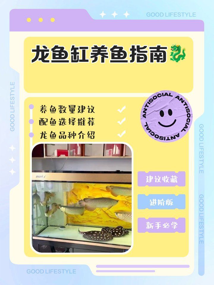 龍魚缸如何擺放，魚缸擺放風水禁忌
