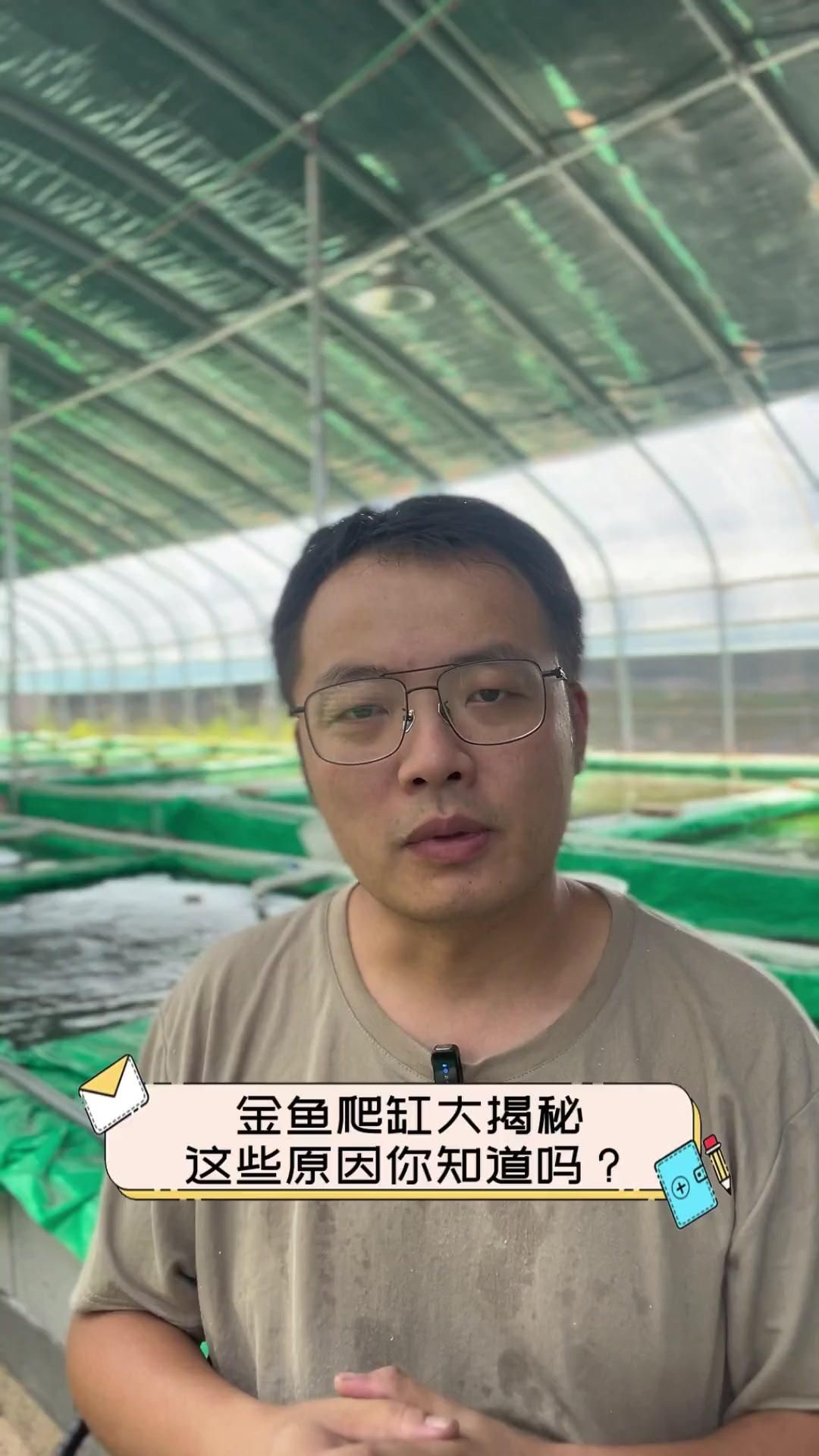 金魚(yú)趴缸底如何治療，金魚(yú)趴缸底是一種常見(jiàn)的異常行為，背后可能涉及多重因素
