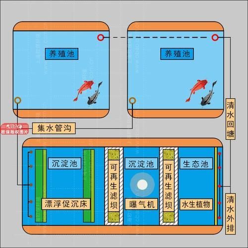 正規魚場應該有哪些環保措施？，正規魚場環保措施 正規魚場應該有哪些環保措施？，正規魚場環保措施 龍魚百科 第3張