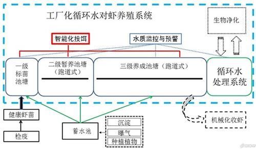 正規魚場應該有哪些環保措施？，正規魚場環保措施 正規魚場應該有哪些環保措施？，正規魚場環保措施 龍魚百科 第8張