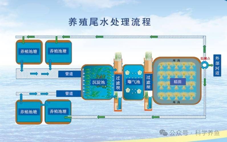 正規魚場應該有哪些環保措施？，正規魚場環保措施 正規魚場應該有哪些環保措施？，正規魚場環保措施 龍魚百科 第4張