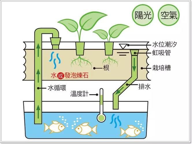 正規魚場應該有哪些環保措施？，正規魚場環保措施 正規魚場應該有哪些環保措施？，正規魚場環保措施 龍魚百科 第16張