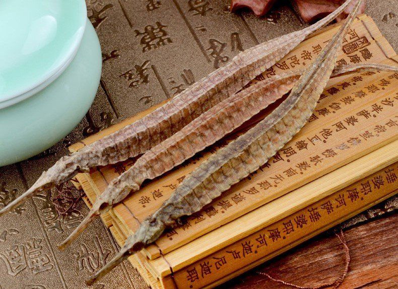 如何區分海龍與海馬的真偽，中國藥品鑒別——海馬 如何區分海龍與海馬的真偽，中國藥品鑒別——海馬 龍魚百科 第2張