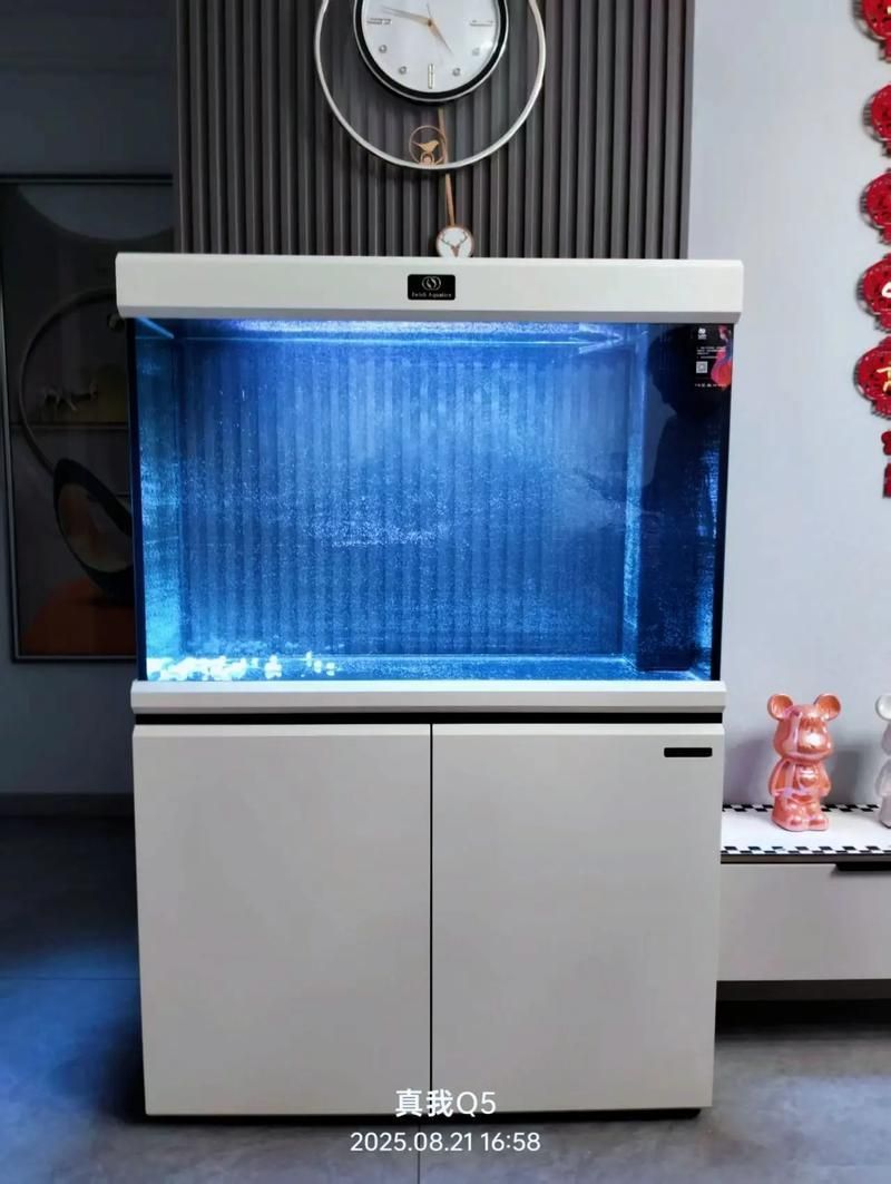 愛唯希魚缸的質(zhì)量怎么樣？，愛唯希魚缸品牌優(yōu)勢 愛唯希魚缸的質(zhì)量怎么樣？，愛唯希魚缸品牌優(yōu)勢 龍魚百科 第1張