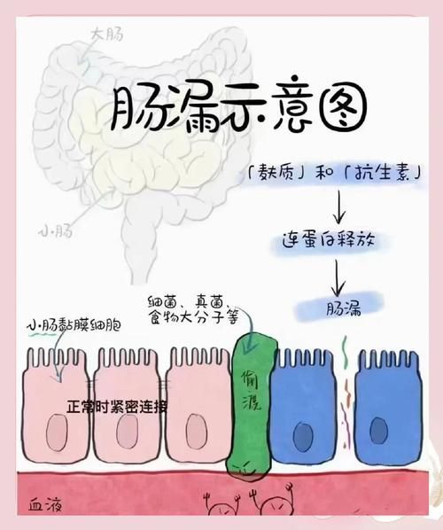 魚腸炎好轉后需要多久恢復健康,魚腸炎好轉后需要多久恢復健康因個體而異 龍魚百科 第2張 魚腸炎好轉后需要多久恢復健康,魚腸炎好轉后需要多久恢復健康因個體而異 魚腸炎好轉后需要多久恢復健康,魚腸炎好轉后需要多久恢復健康因個體而異 龍魚百科 第2張