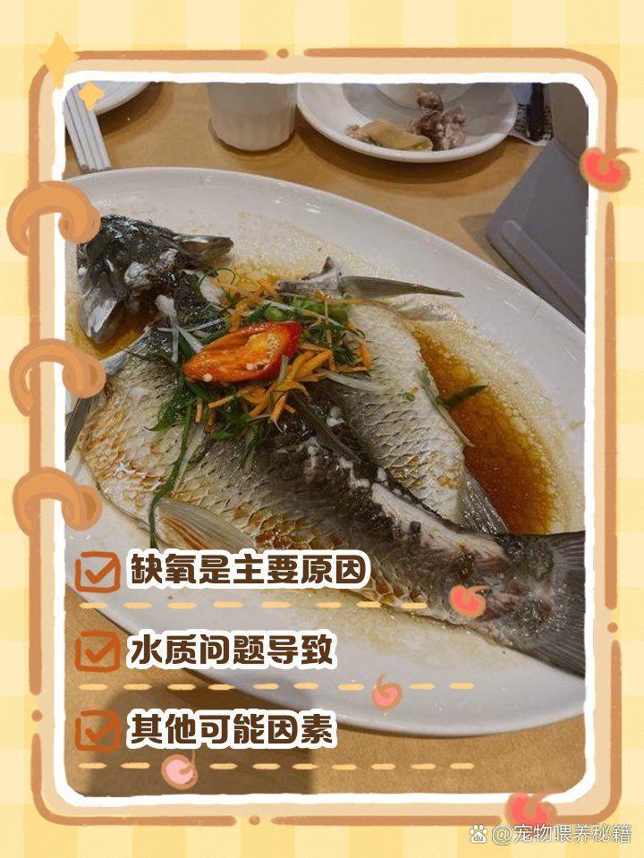 魚浮在水面呼吸急促是為什么，浮在水面呼吸急促的原因可能包括以下幾點 魚浮在水面呼吸急促是為什么，浮在水面呼吸急促的原因可能包括以下幾點 龍魚百科 第2張