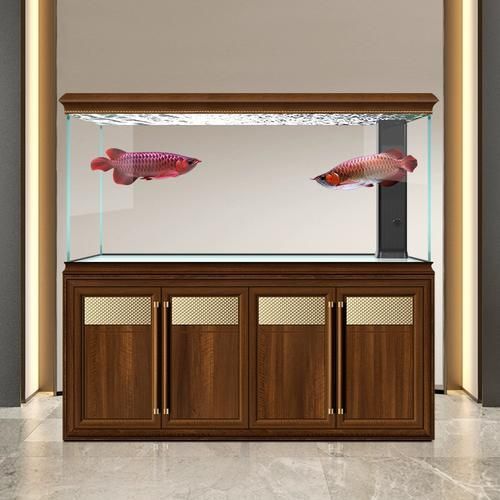 給我推薦幾款高端龍魚缸，幾款高端的龍魚缸推薦 給我推薦幾款高端龍魚缸，幾款高端的龍魚缸推薦 龍魚百科 第14張