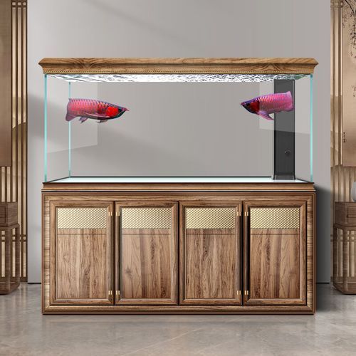 給我推薦幾款高端龍魚缸，幾款高端的龍魚缸推薦 給我推薦幾款高端龍魚缸，幾款高端的龍魚缸推薦 龍魚百科 第16張