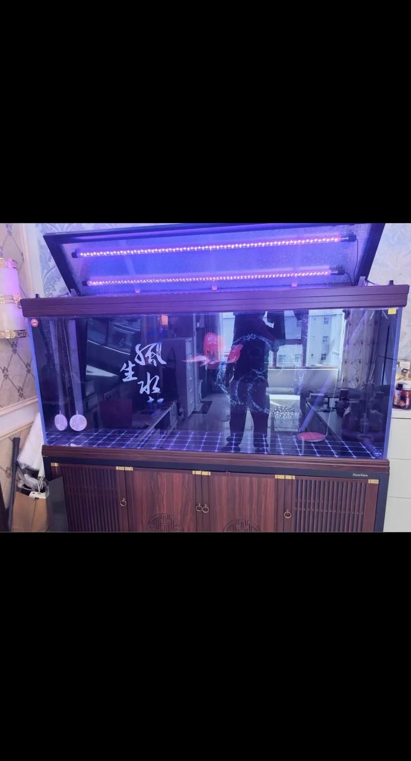 給我推薦幾款高端龍魚缸，幾款高端的龍魚缸推薦 給我推薦幾款高端龍魚缸，幾款高端的龍魚缸推薦 龍魚百科 第10張