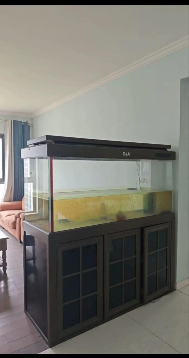 給我推薦幾款高端龍魚缸，幾款高端的龍魚缸推薦 給我推薦幾款高端龍魚缸，幾款高端的龍魚缸推薦 龍魚百科 第1張