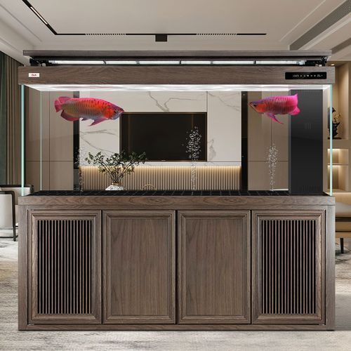 給我推薦幾款高端龍魚缸，幾款高端的龍魚缸推薦 給我推薦幾款高端龍魚缸，幾款高端的龍魚缸推薦 龍魚百科 第2張