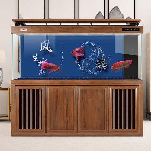 給我推薦幾款高端龍魚缸，幾款高端的龍魚缸推薦 給我推薦幾款高端龍魚缸，幾款高端的龍魚缸推薦 龍魚百科 第3張