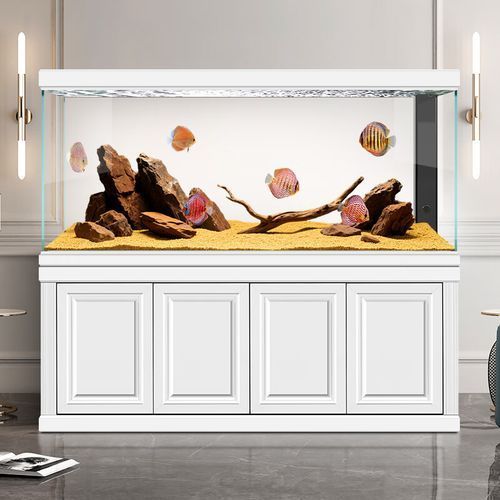 給我推薦幾款高端龍魚缸，幾款高端的龍魚缸推薦 給我推薦幾款高端龍魚缸，幾款高端的龍魚缸推薦 龍魚百科 第13張