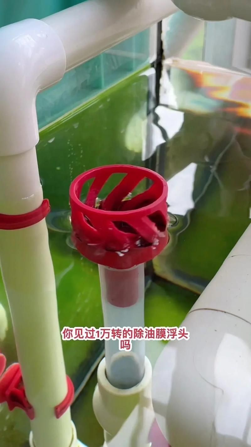 如何判斷一個魚缸的質量好壞？，mcp魚缸質量問題判斷一個魚缸質量好壞