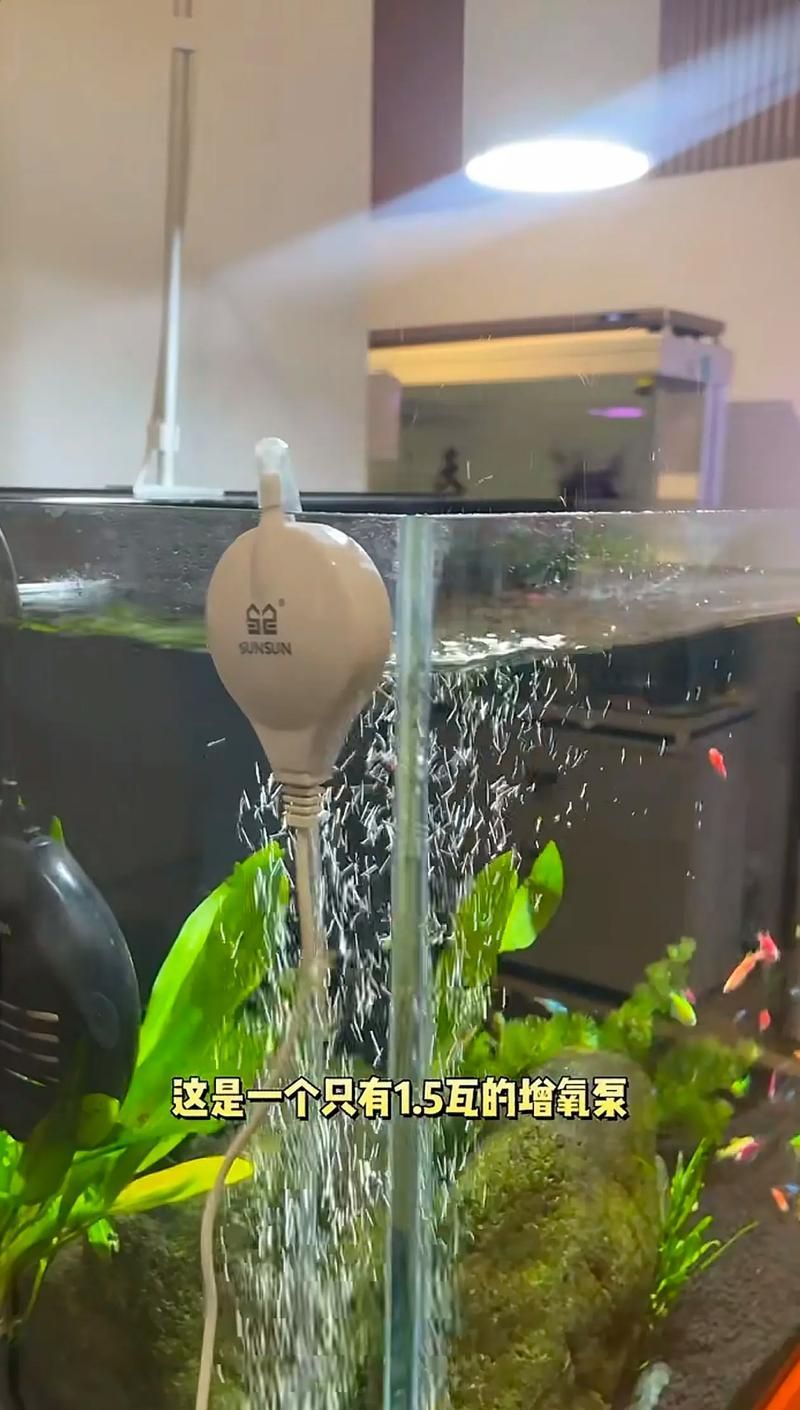 給我推薦幾款森森的明星產品，森森明星產品 給我推薦幾款森森的明星產品，森森明星產品 龍魚百科 第12張