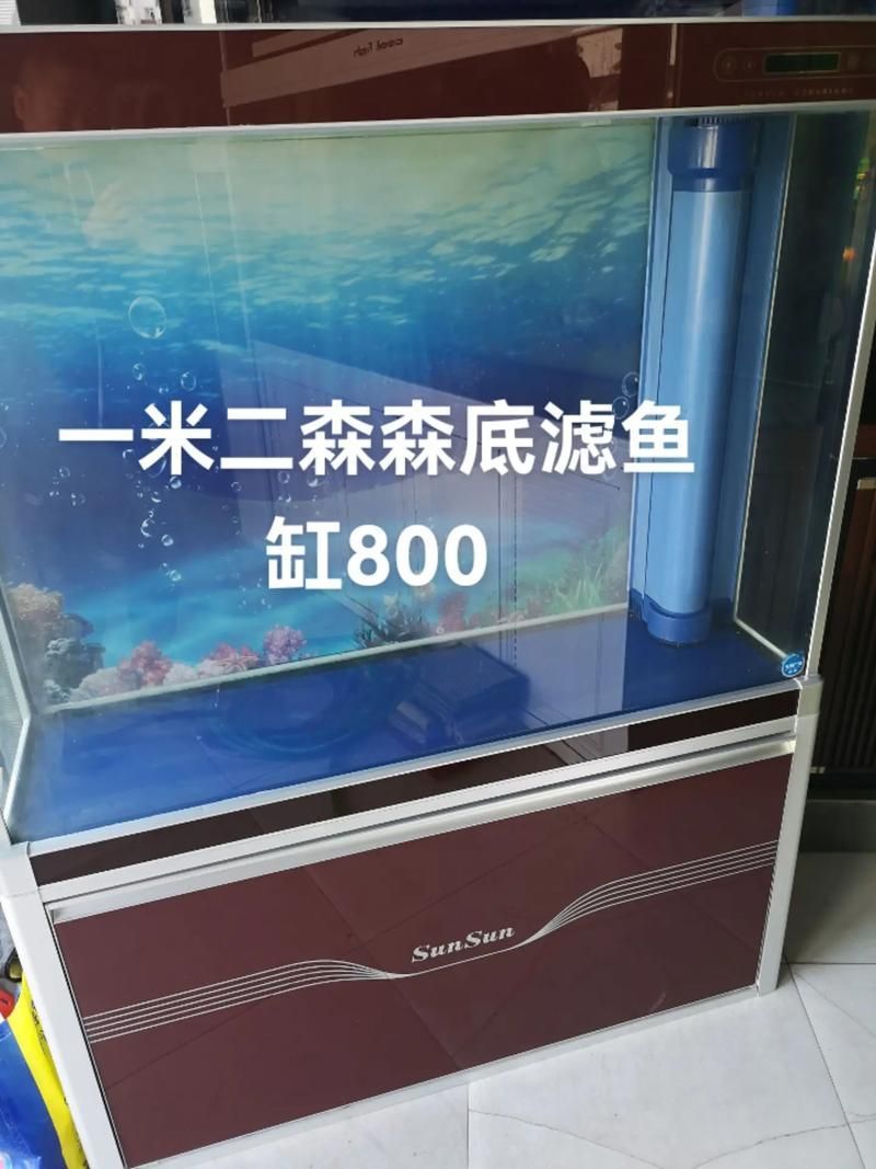 給我推薦幾款森森的明星產品，森森明星產品 給我推薦幾款森森的明星產品，森森明星產品 龍魚百科 第15張