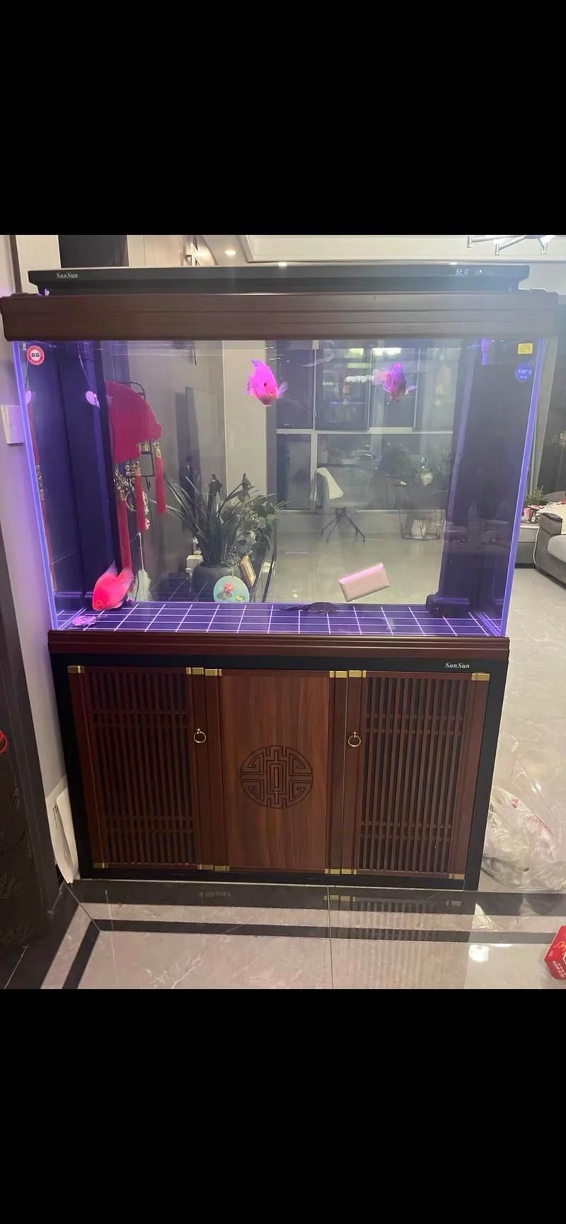 給我推薦幾款森森的明星產品，森森明星產品 給我推薦幾款森森的明星產品，森森明星產品 龍魚百科 第16張