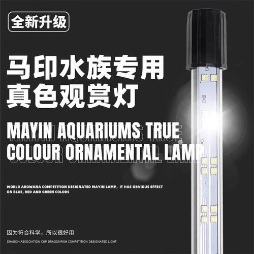 給我推薦幾款過(guò)背金龍專用LED燈，過(guò)背金龍魚專用led燈