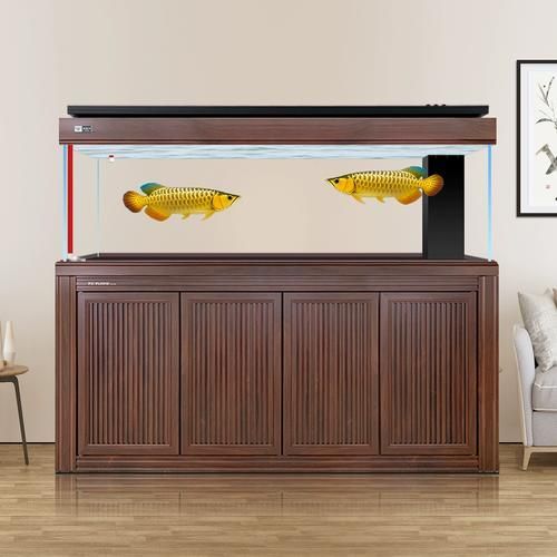 有哪些龍魚魚缸品牌值得推薦？