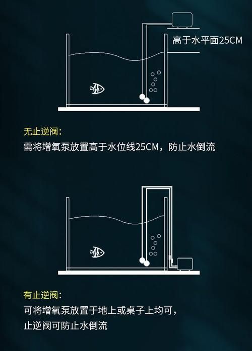 魚兒趴缸后如何恢復(fù)，魚兒趴缸后如何恢復(fù)，