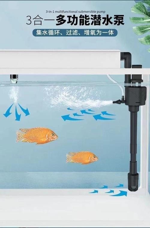 魚兒趴缸后如何恢復(fù)，魚兒趴缸后如何恢復(fù)，