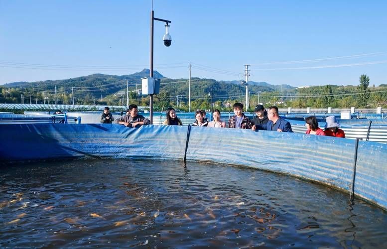 祥龍魚場的飼料魚飼養方法有哪些？，“祥龍魚場”的飼料魚飼養方法