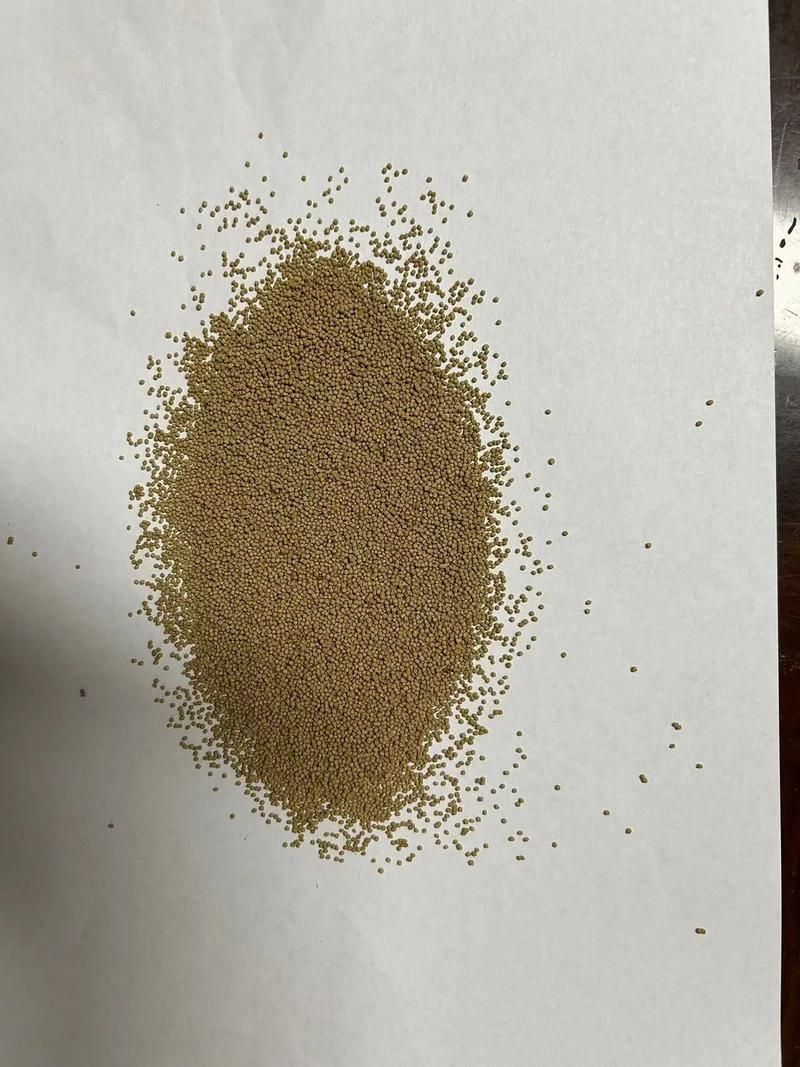 魚糧，mcp工具補充視覺素材（server_id:3） 魚糧，mcp工具補充視覺素材（server_id:3） 龍魚百科 第5張