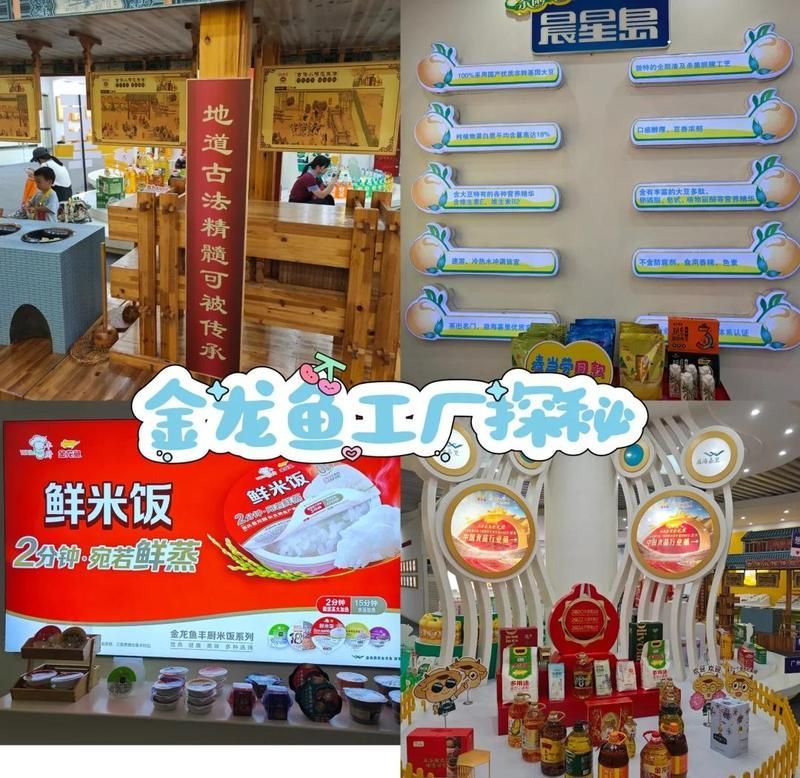 金龍魚基地有哪些參觀活動，廣東金龍魚基地參觀活動 金龍魚基地有哪些參觀活動，廣東金龍魚基地參觀活動 龍魚百科 第6張