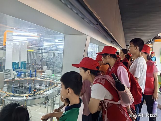 金龍魚基地有哪些參觀活動，廣東金龍魚基地參觀活動 金龍魚基地有哪些參觀活動，廣東金龍魚基地參觀活動 龍魚百科 第4張