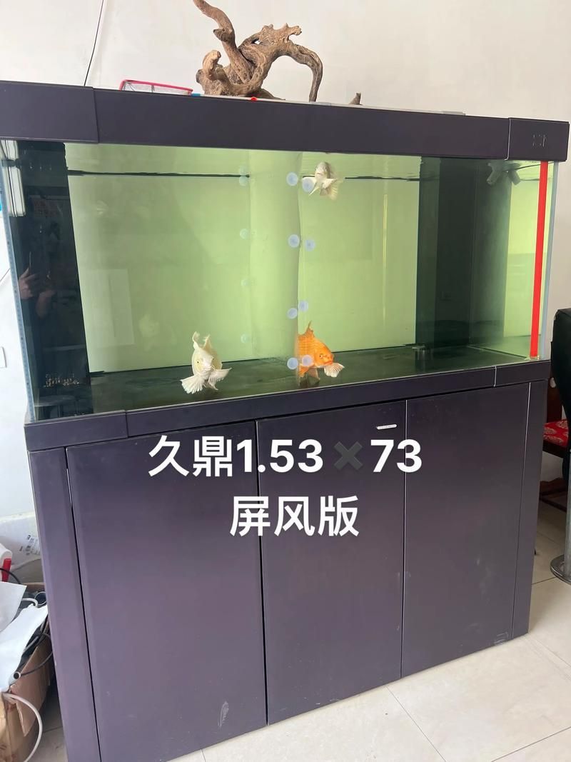 如何判斷久鼎龍魚(yú)缸的質(zhì)量？，久鼎魚(yú)缸選購(gòu)避坑指南