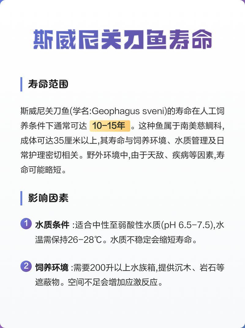 斯維尼關刀魚壽命有多長？，斯維尼關刀魚的壽命 斯維尼關刀魚壽命有多長？，斯維尼關刀魚的壽命 龍魚百科 第1張