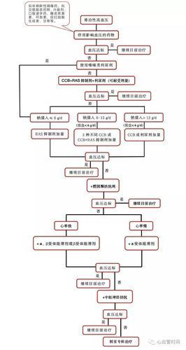 能否提供高血壓治療的詳細流程圖，壓治療的詳細流程圖如下：壓治療的詳細流程圖如下 能否提供高血壓治療的詳細流程圖，壓治療的詳細流程圖如下：壓治療的詳細流程圖如下 龍魚百科 第5張
