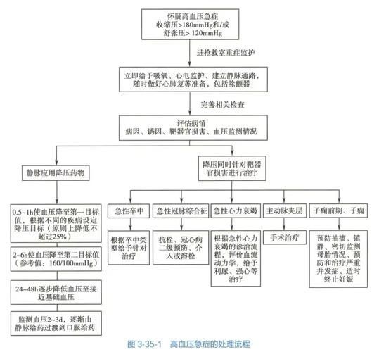 能否提供高血壓治療的詳細流程圖，壓治療的詳細流程圖如下：壓治療的詳細流程圖如下 能否提供高血壓治療的詳細流程圖，壓治療的詳細流程圖如下：壓治療的詳細流程圖如下 龍魚百科 第3張