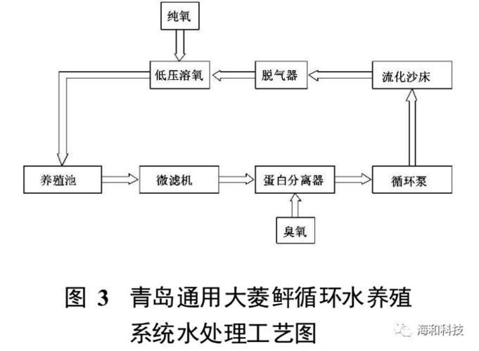 如何降低金龍魚養(yǎng)殖成本，如何降低金龍魚養(yǎng)殖的成本 如何降低金龍魚養(yǎng)殖成本，如何降低金龍魚養(yǎng)殖的成本 龍魚百科 第12張