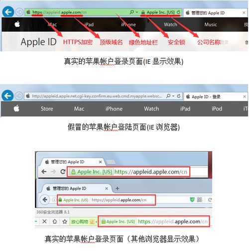 如何通過第三方平臺驗證官網真實性？，官網與釣魚網站的認證流程