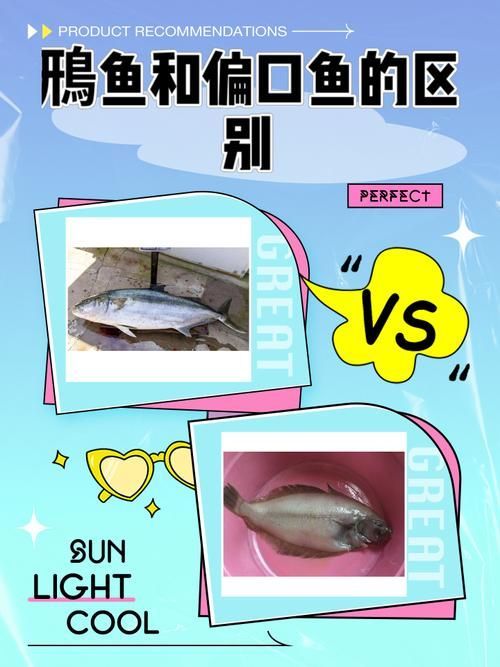 如何判斷魚類是否停止進食，arxiv論文助手