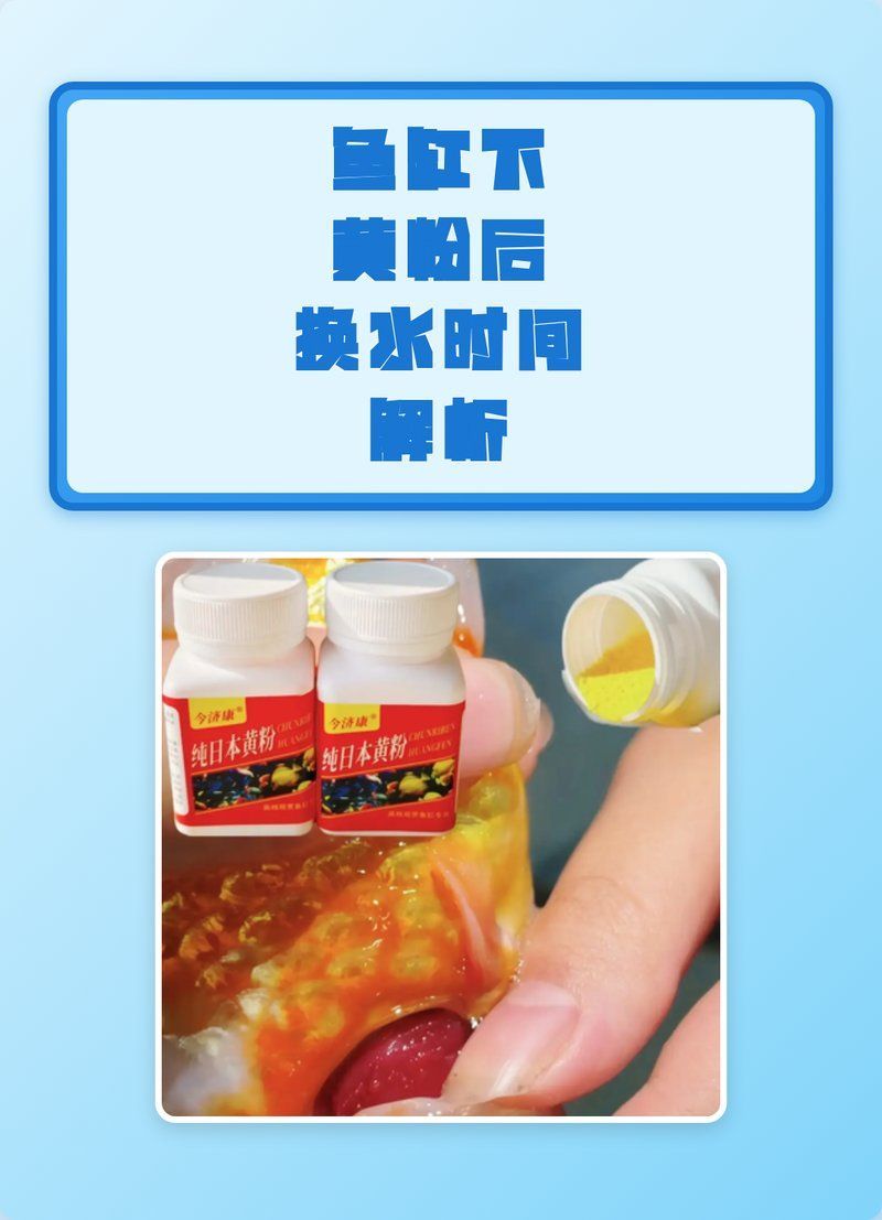 黃粉使用期間需要換水嗎，魚缸下黃粉后多久換水